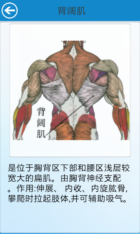 请问如何用哑铃锻炼有助于做引体向上