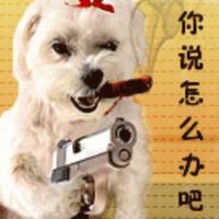 Zhihu profile picture for @communication
