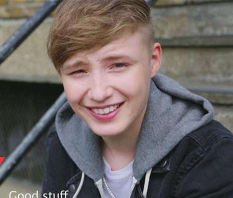 芬兰人是纯黄种人和显白人种混血这种说法是否正确