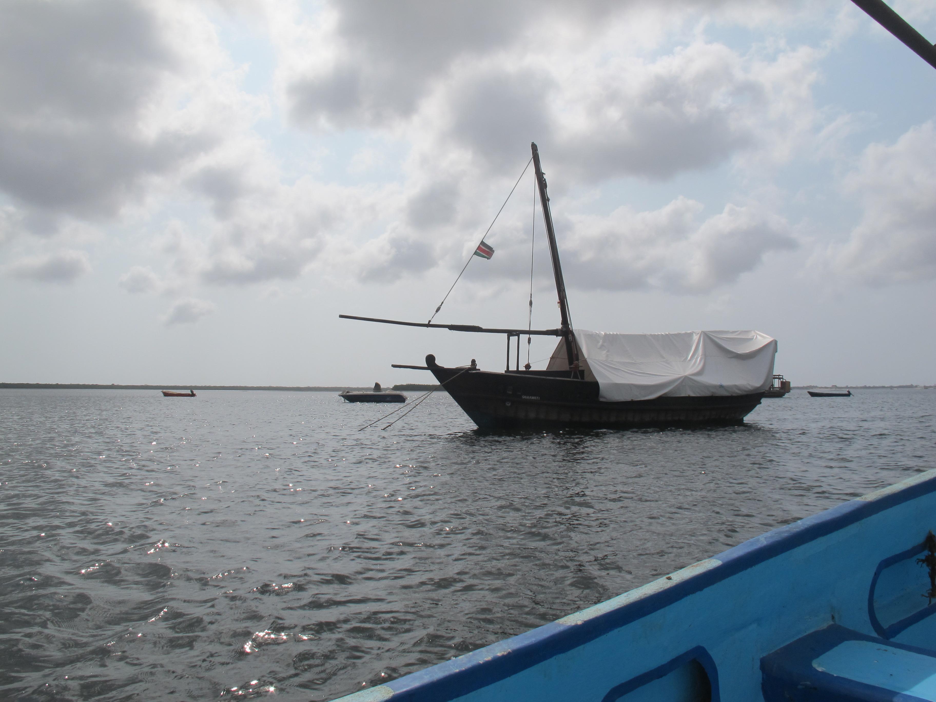 到非洲旅行带 8 岁小朋友同行有哪些需要注意的事项?