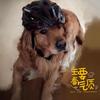 燕麦牛奶不加糖