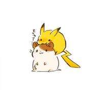 Zhihu profile picture for @wanton