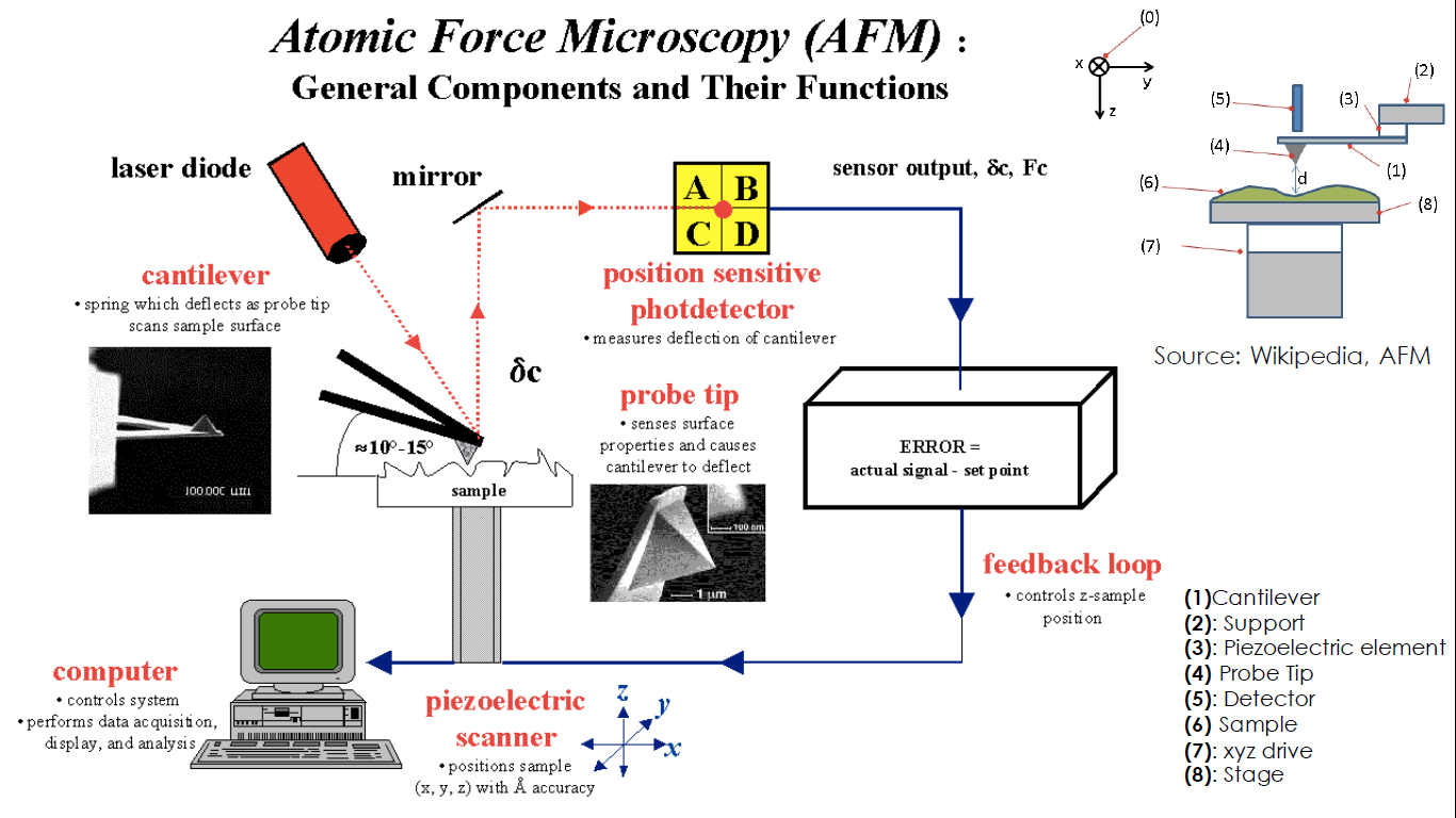 yy.vip易游-6万张国产卡铸就算力底座国内最大AI4S计算集群发布