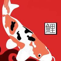 Zhihu profile picture for @carp
