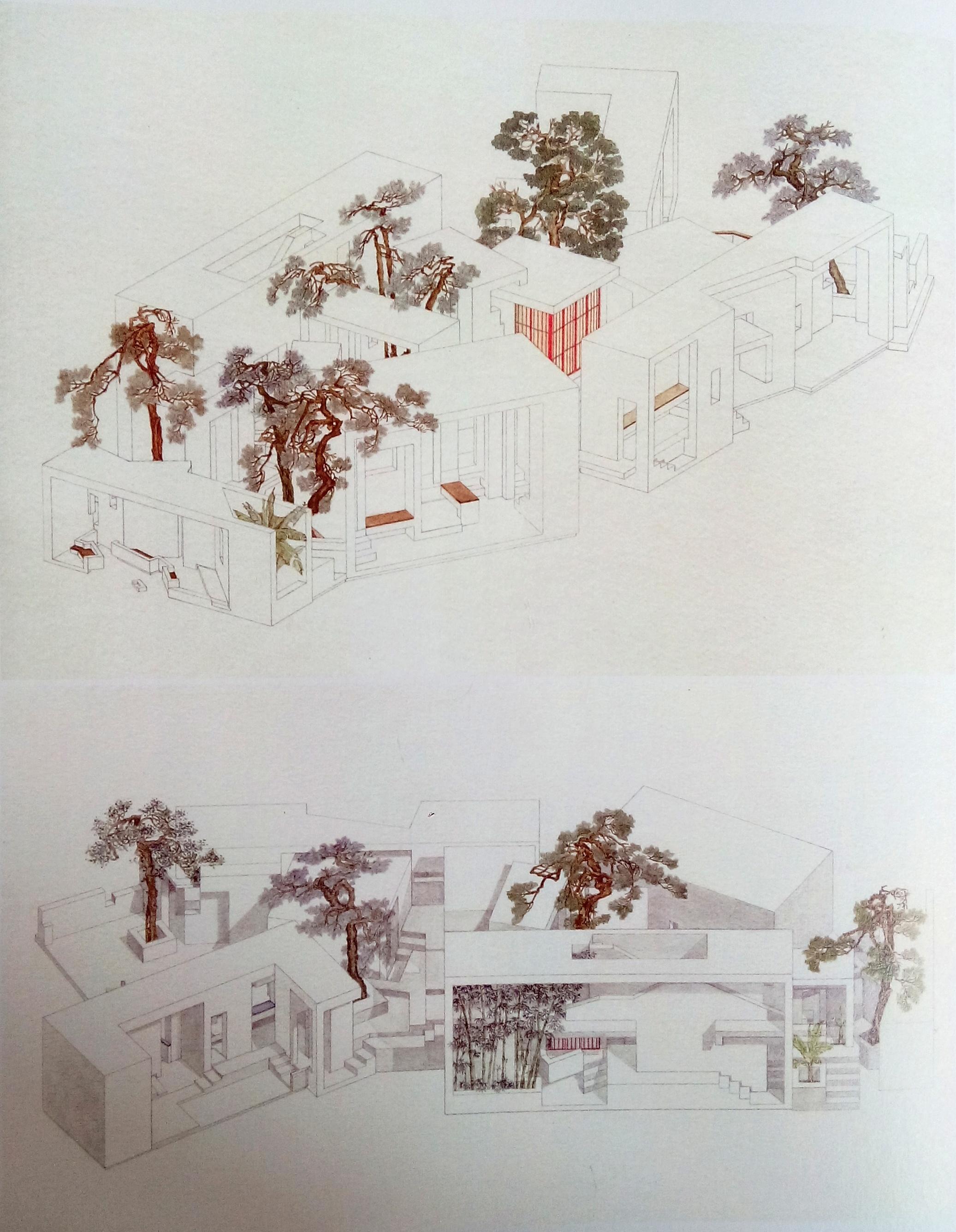 如何看待王欣的乌有园实验?