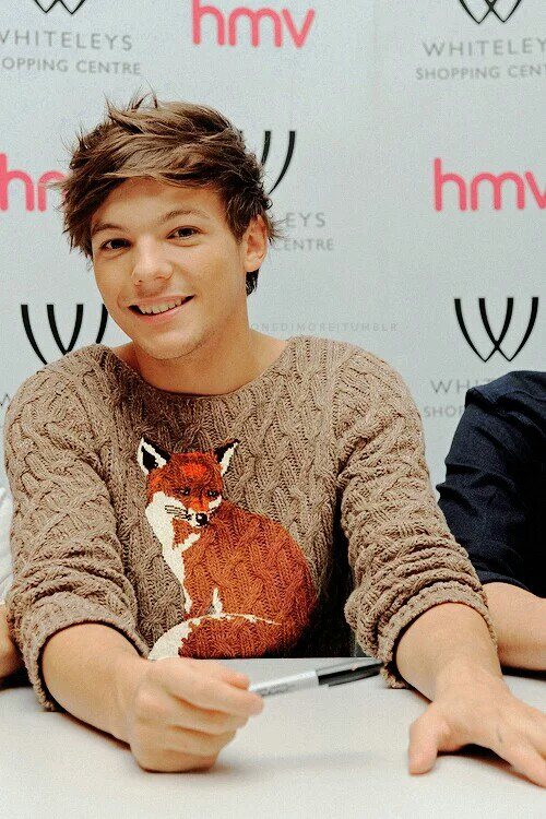 如何看待larrystylinsonharrystyles和louistomlinson关系