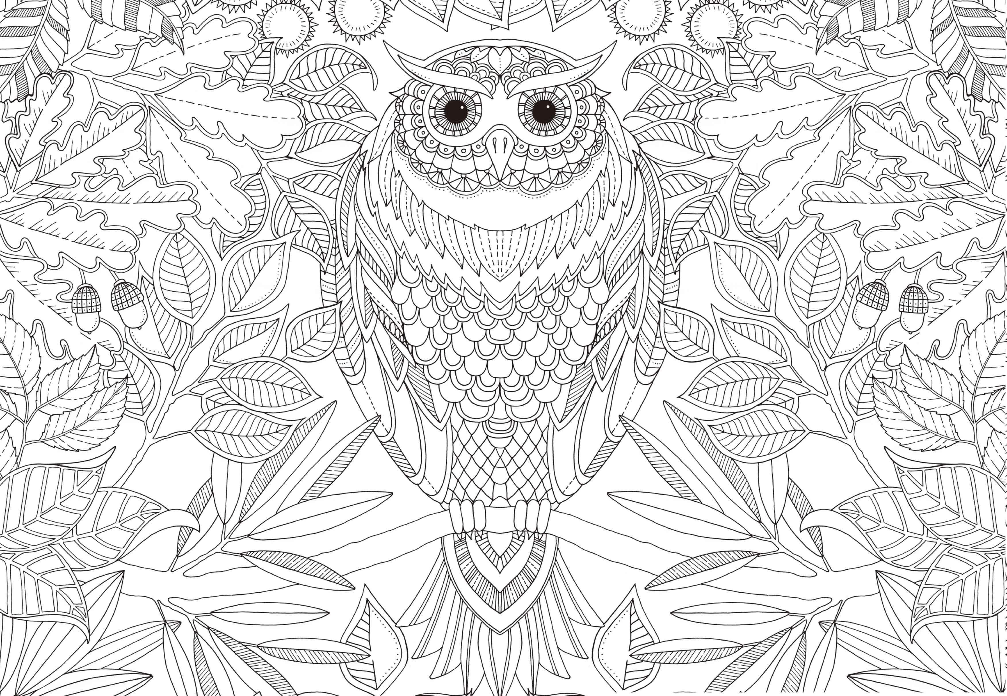 可否通过编程为秘密花园填充出和谐的颜色