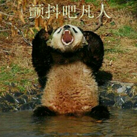 Zhihu profile picture for @coroner