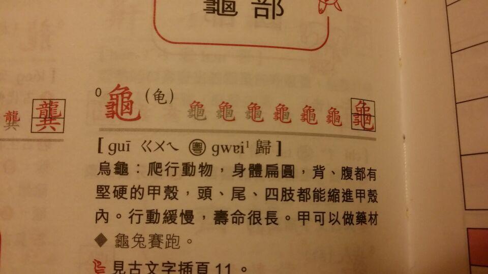 「龜」(龟)字的笔顺是什么? - 知乎