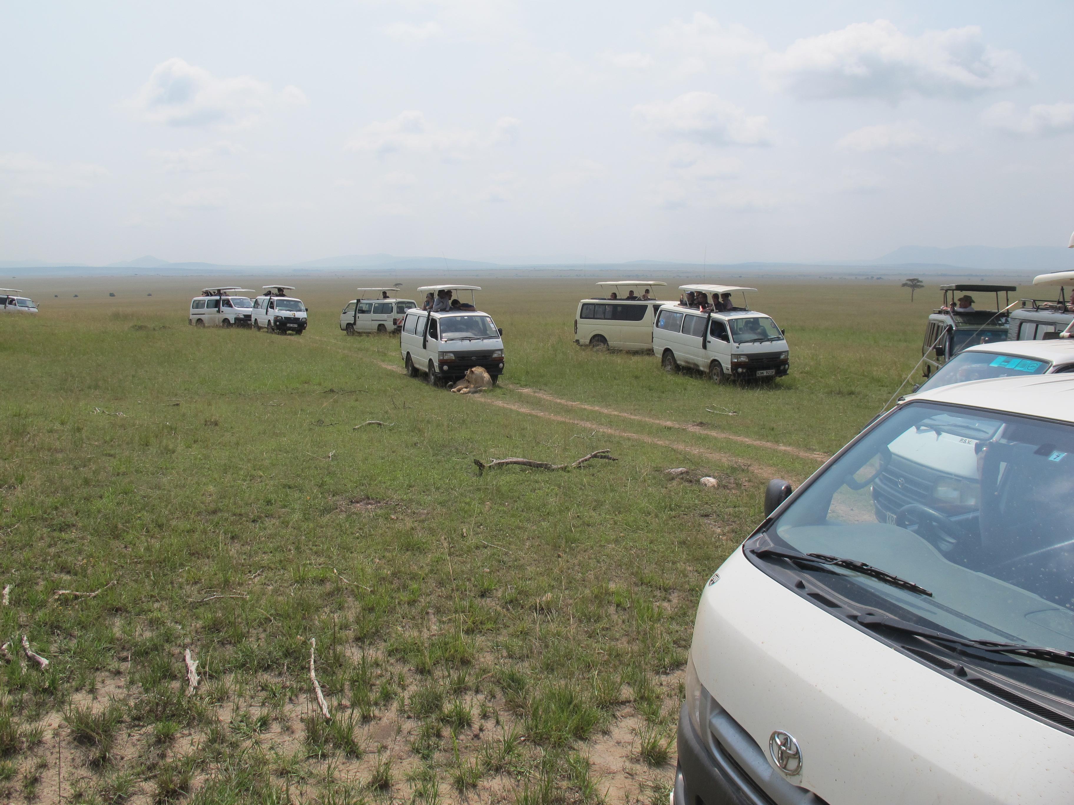 到非洲旅行带 8 岁小朋友同行有哪些需要注意的事项?