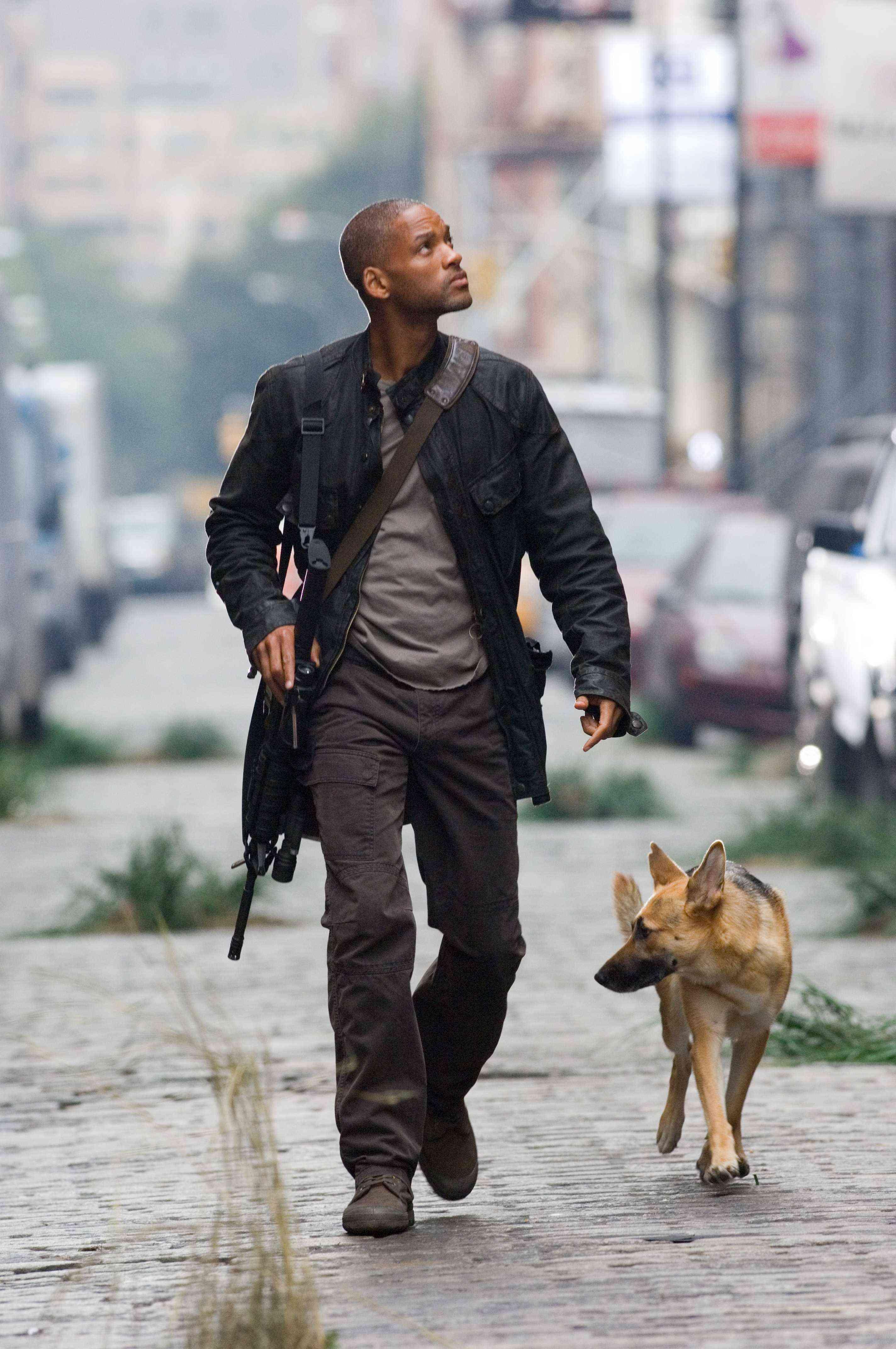威尔·史密斯will smith我是传奇i am legend (2007)陈坤龙门飞甲