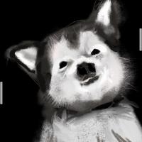 Zhihu profile picture for @injured