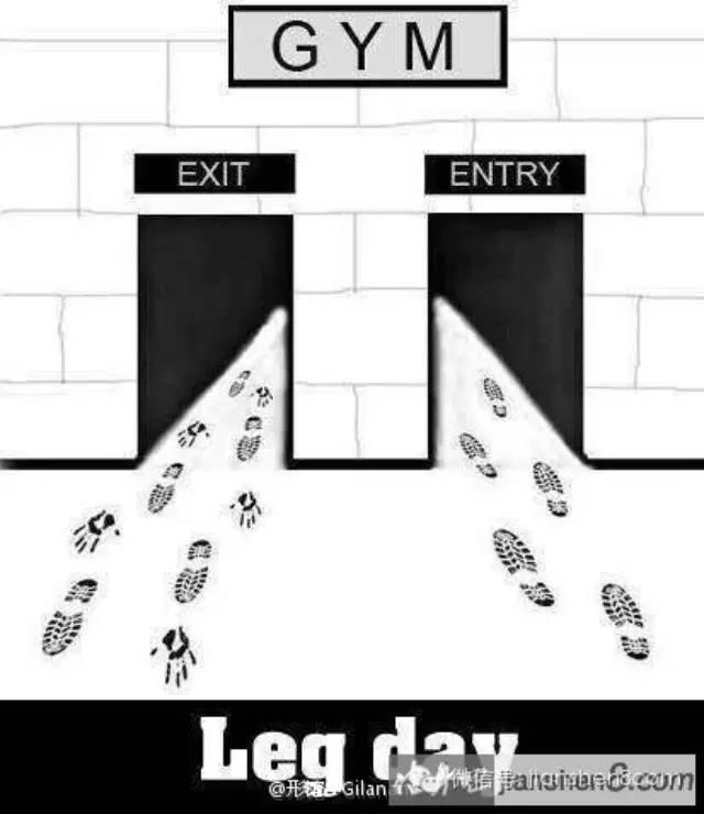 健身关于legday练腿日有哪些梗