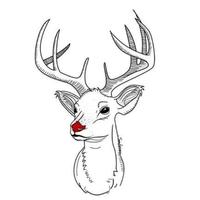 Zhihu profile picture for @bunnies