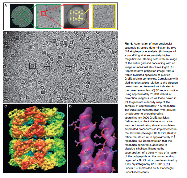 如何看待 2017 诺贝尔化学奖冷冻电镜 (cryo-em) 技术?