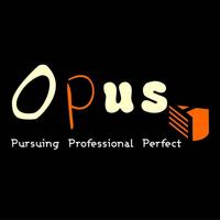 Zhihu profile picture for @opus