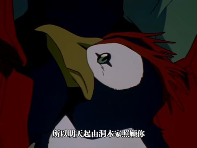 eva中,葛城美里的企鹅是怎么死的?