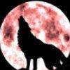 Zhihu profile picture for @johan