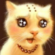 Zhihu profile picture for @clinton