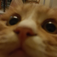 Zhihu profile picture for @humor