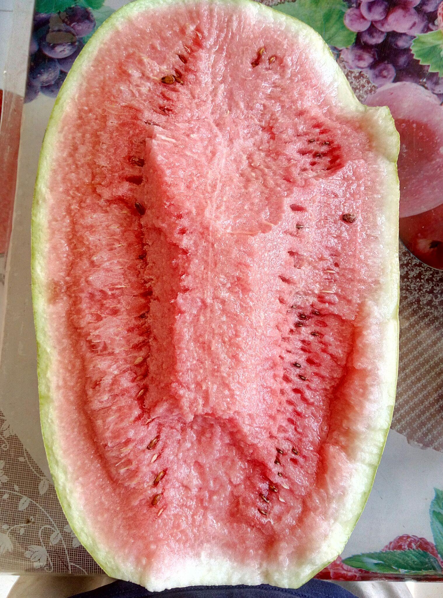 如何鉴别宁夏硒砂瓜的真假