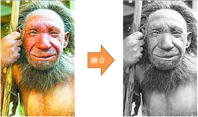 为什么那么多人种只有智人繁衍了下来? - 知乎