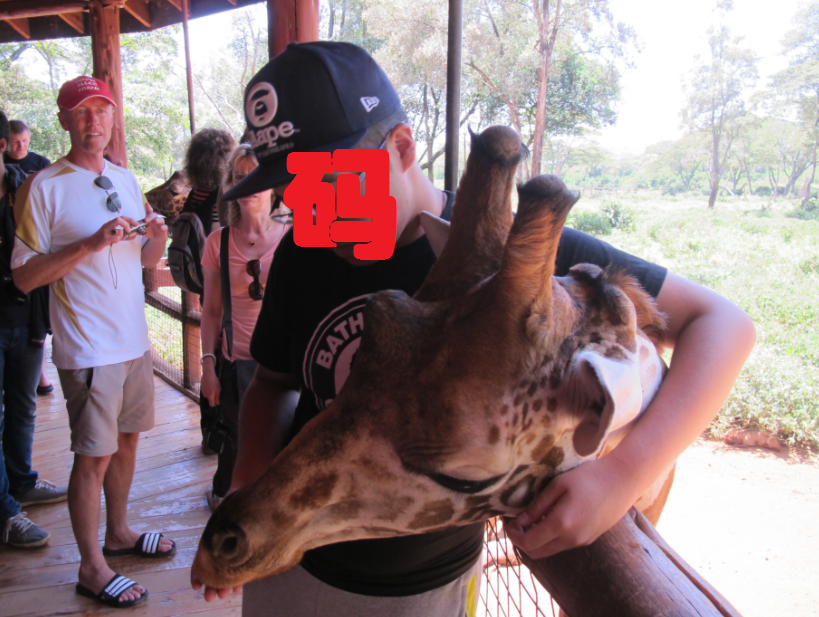 到非洲旅行带 8 岁小朋友同行有哪些需要注意的事项?