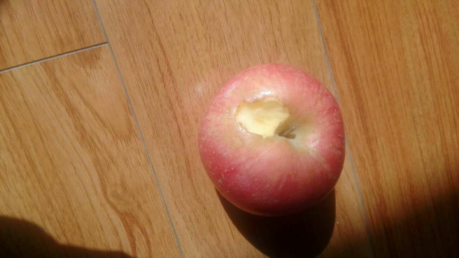 这是老鼠咬的还是蟑螂