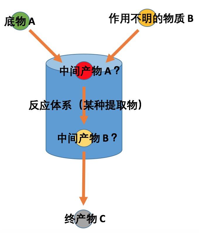 十九世纪的人是如何分离并鉴定有机物质的