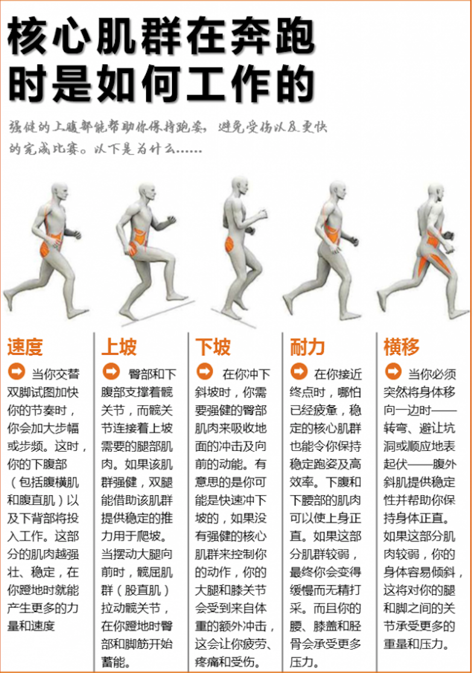 长跑有哪些动作要领如何跑省力长跑步幅大小重要吗