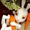 Zhihu profile picture for @herbs