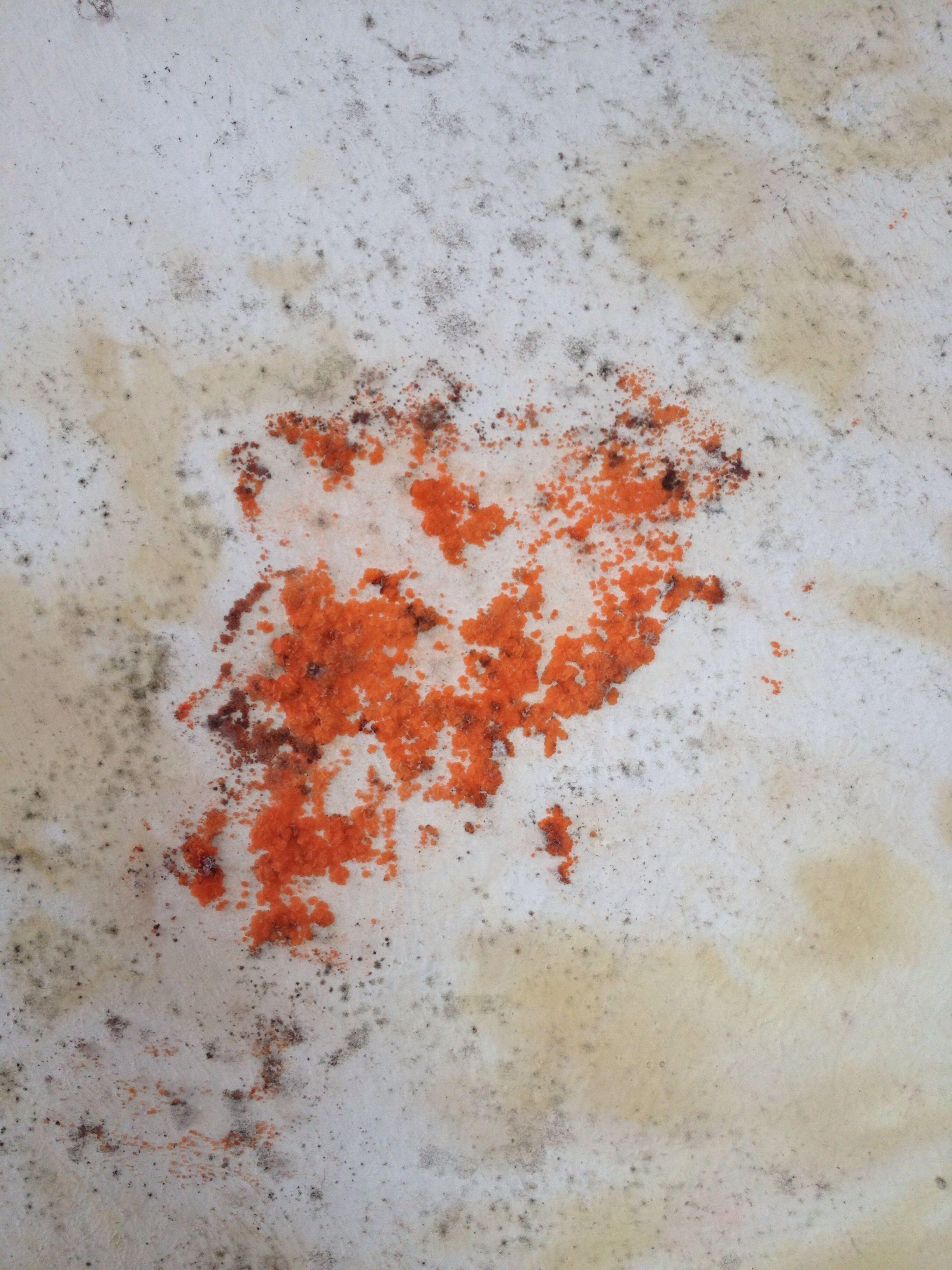 墙上不同颜色的霉菌(我见到过常规灰黑色,嫩黄色和橘黄色)分别是如何