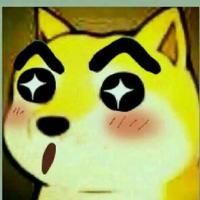 Zhihu profile picture for @burden