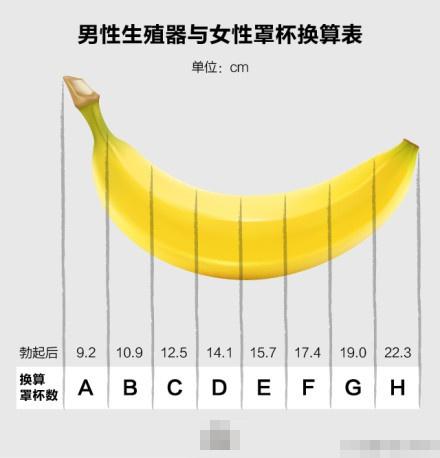 中国男性阴茎尺寸标准是多少?