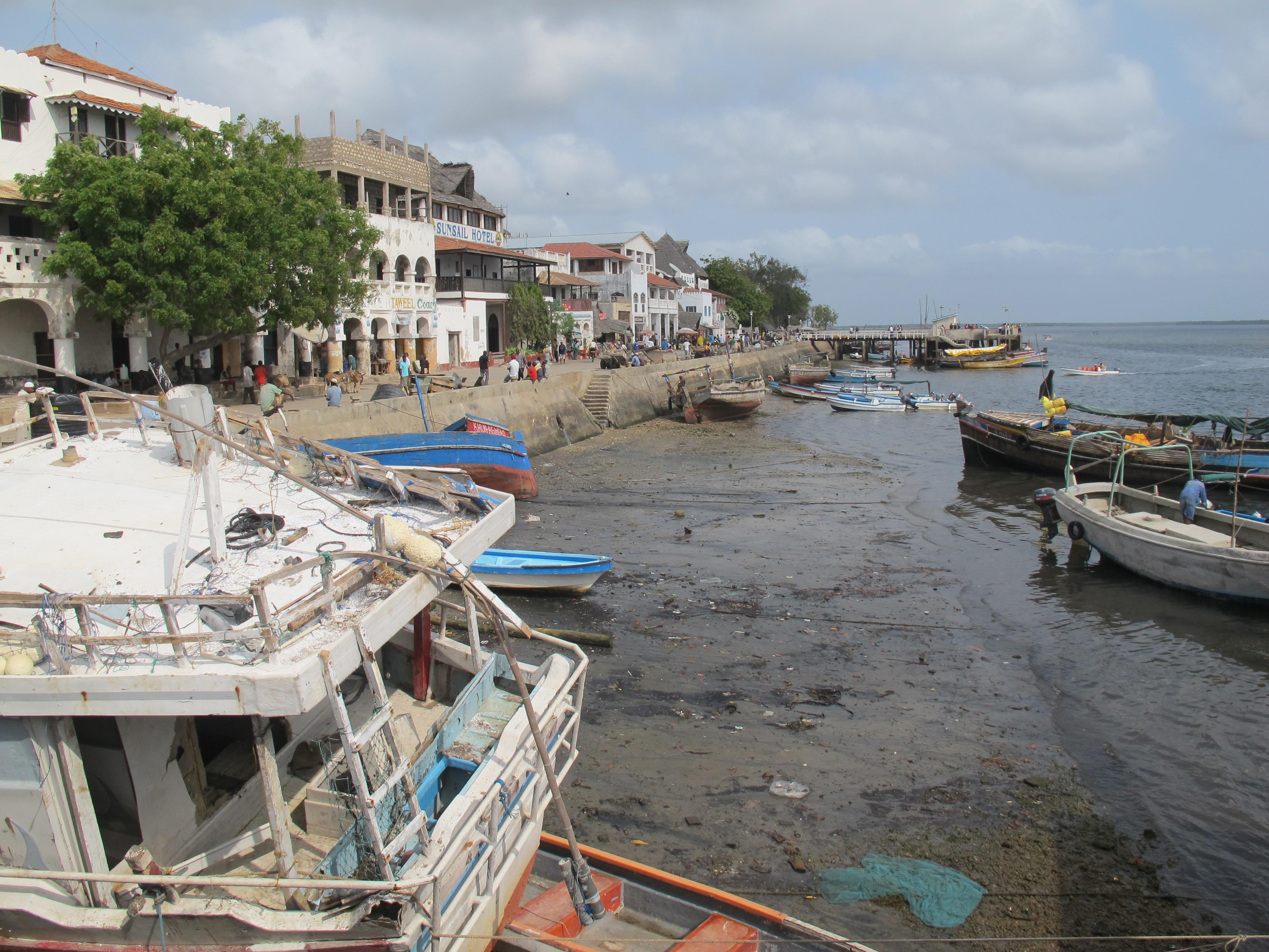 到非洲旅行带 8 岁小朋友同行有哪些需要注意的事项?