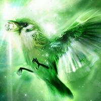 Zhihu profile picture for @probe