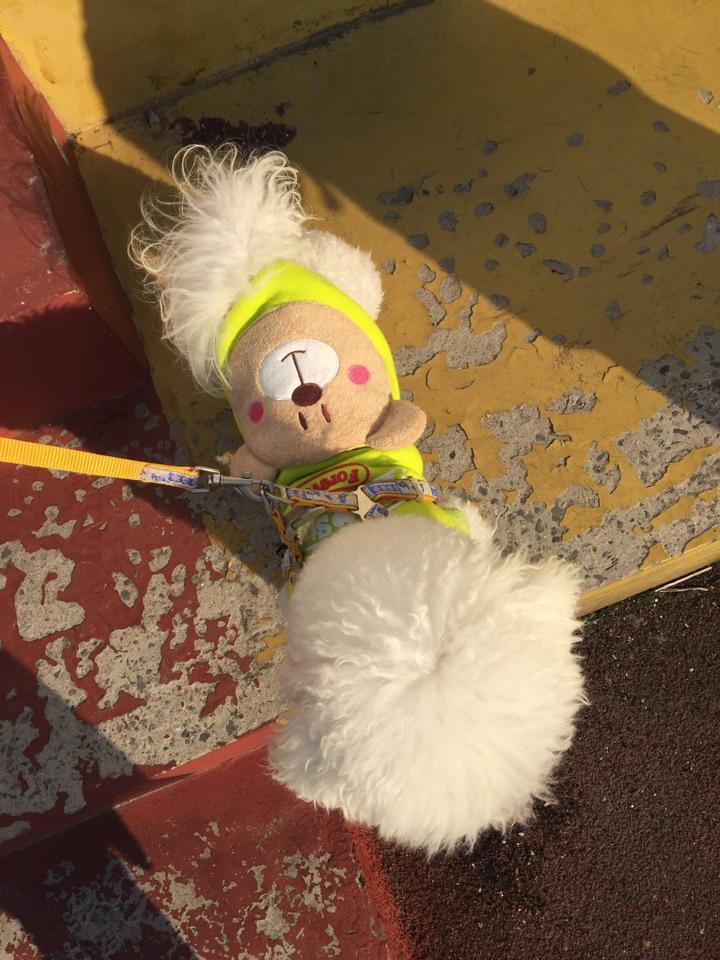 头发剪短是种怎样的体验? - 知乎