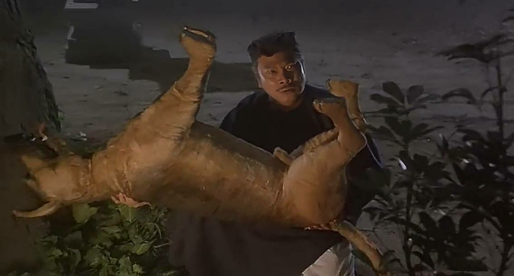 大家如何看待导演姚守岗拍犬王炸死军犬