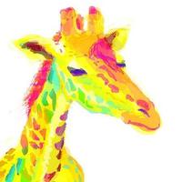 Zhihu profile picture for @dora