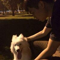 Zhihu profile picture for @dent