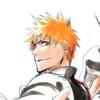 Memories of Bleach（死神/境界）