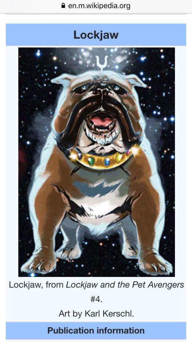 为什么没有"马侠"或者"狗侠"?