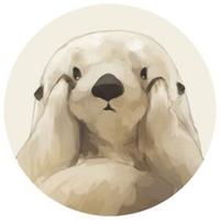 Zhihu profile picture for @desperado