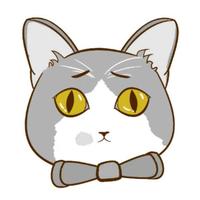 Zhihu profile picture for @preview