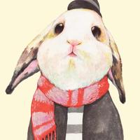 Zhihu profile picture for @clubs