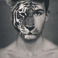Zhihu profile picture for @moroccan