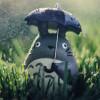 Zhihu profile picture for @vocabulary