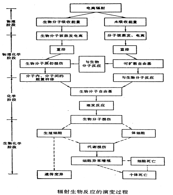 知乎日报