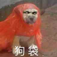 Zhihu profile picture for @whore