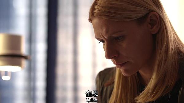 如何评价国土安全第五季